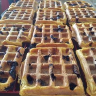 Blueberry Protein Waffles