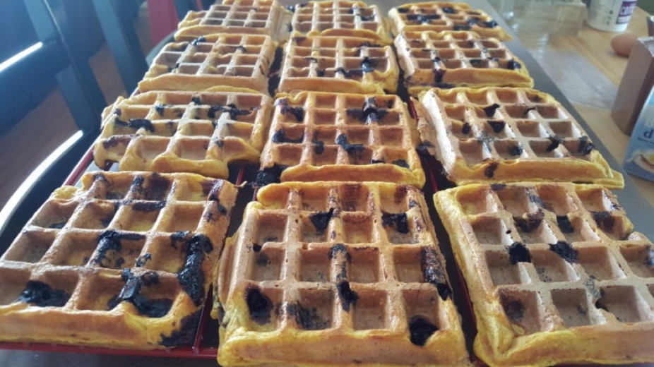 Blueberry Protein Waffles